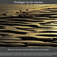 P2006 14 proteger_vie_marine 